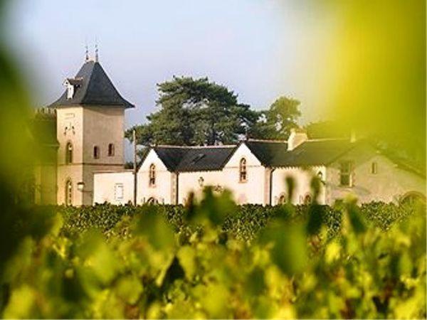 Domaine De La Soucherie - Chambres D'Hotes Beaulieu-sur-Layon Экстерьер фото