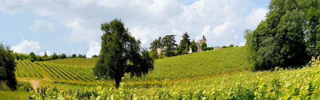 Domaine De La Soucherie - Chambres D'Hotes Beaulieu-sur-Layon Экстерьер фото
